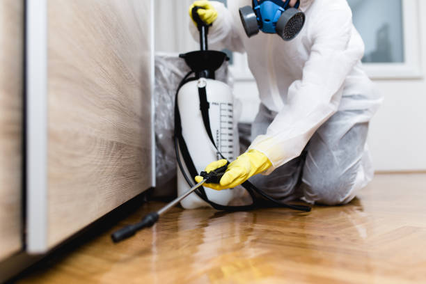 Best Cockroach Control Services  in New London, IA