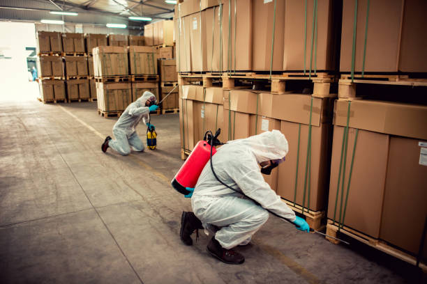 Best Pest Control Near Me in New London, IA