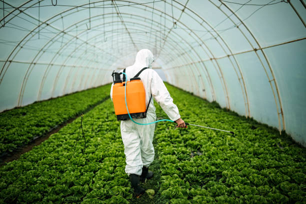 Best Pest Removal Services  in New London, IA