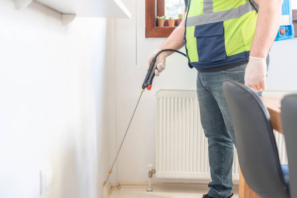 Best Wasp Removal Services  in New London, IA