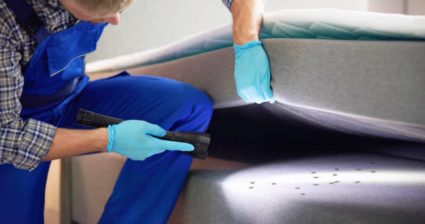 Trusted New London, IA Pest Control Experts