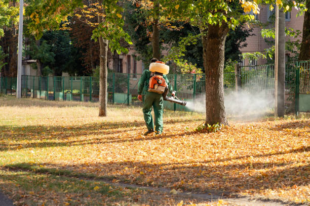 Best Rodent Control Near Me  in New London, IA